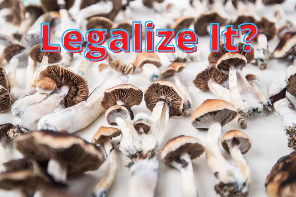 Should We Legalize Psychedelic Mushrooms To Save the Lives of Texas Veterans?
