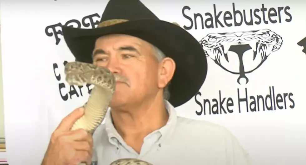 Rattlesnake Bite Kills Handler at Freer, TX Rattlesnake Roundup