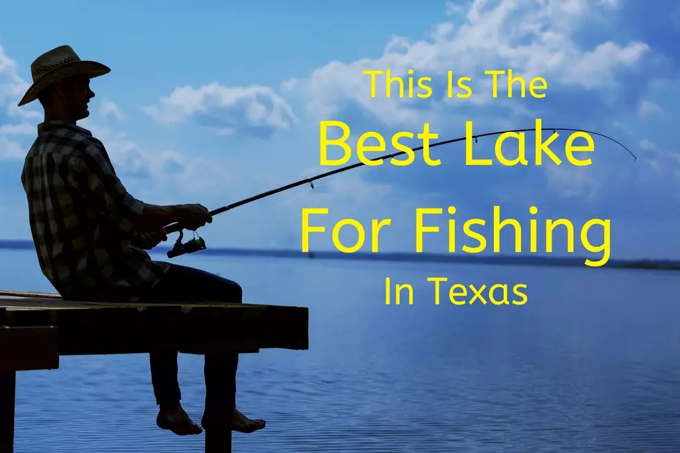 Fish Tales: #1 Spot in Centex for Reeling in the Perfect Catch