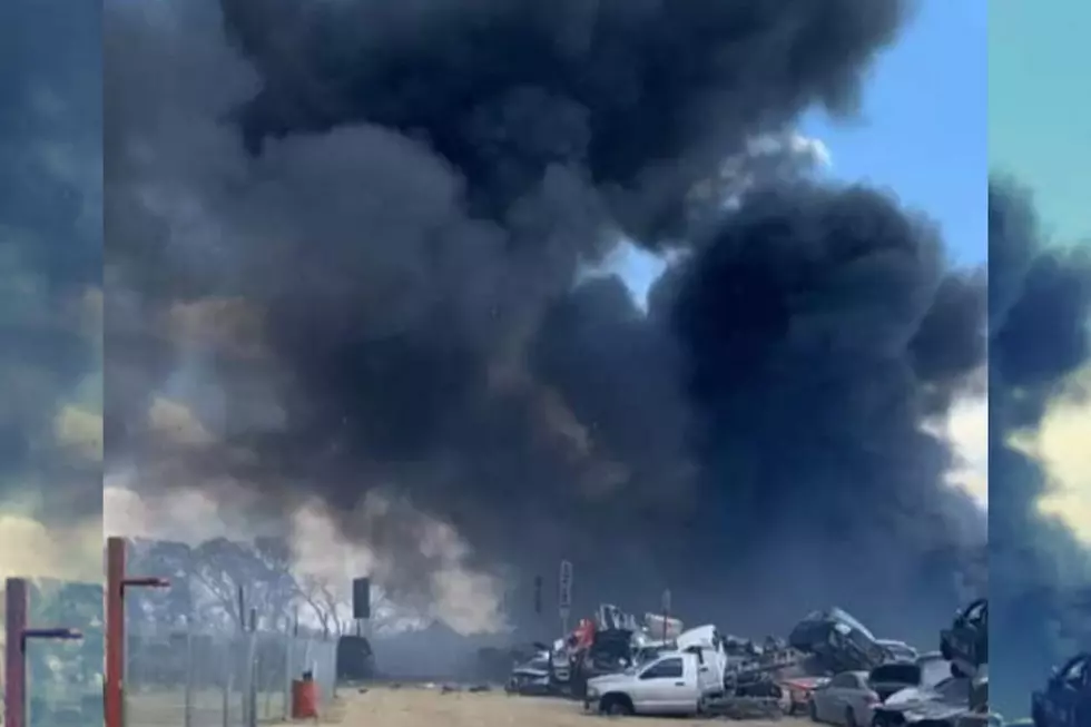 Multiple Agencies Battling Brush Fire in Belton, Texas