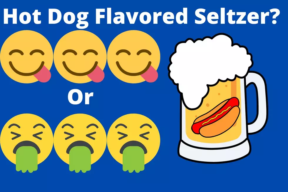 Should This Be Illegal? Texas Brewery To Create Hot Dog Flavored Seltzer