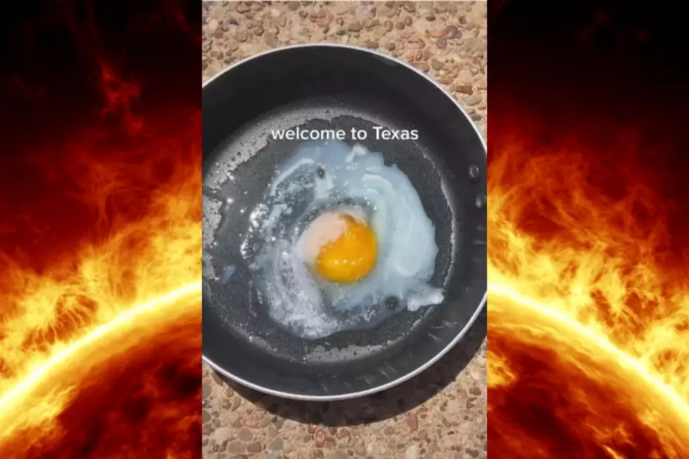 Eggs in Texas Beware: We Can Absolutely Cook You on Our Sidewalks