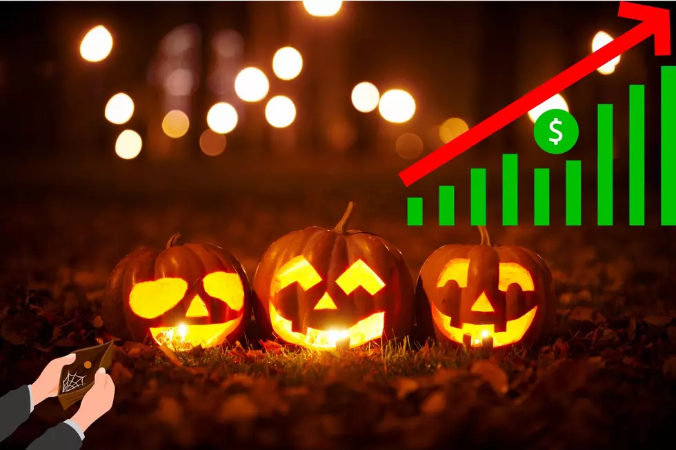 Here’s Why Texas Is Paying More For Pumpkins This Year