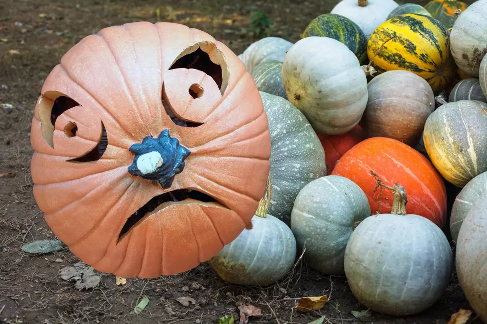 Is Killeen, Texas Heading For a Pumpkin Shortage This Fall?