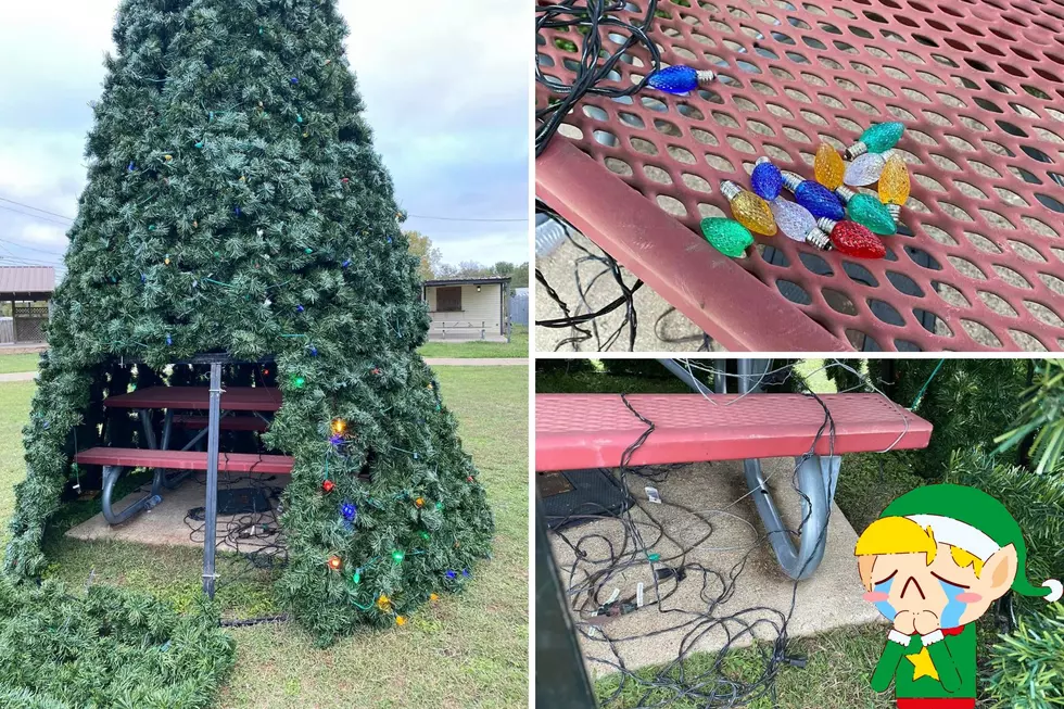 Bah Humbug: Grinches Deface Christmas Tree in Lacy Lakeview, Texas