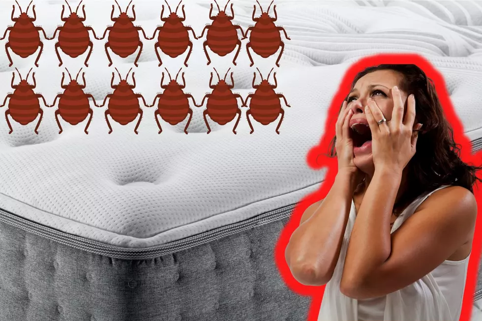 GROSS! Two Texas Cities Can&#8217;t Escape Bed Bugs At All