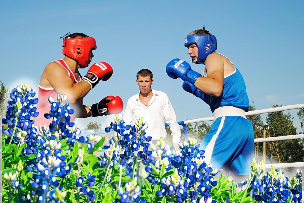 What Town Dares To Challenge Temple, Texas As Wildflower Capital?