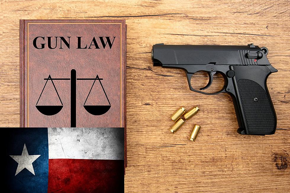 New Texas Law Would Tax Legal Gun Owners