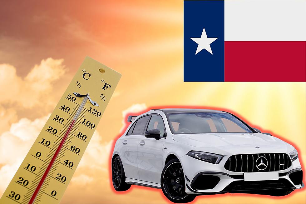 VIDEO: Remember To Not Leave Anyone In A Hot Car Texas!