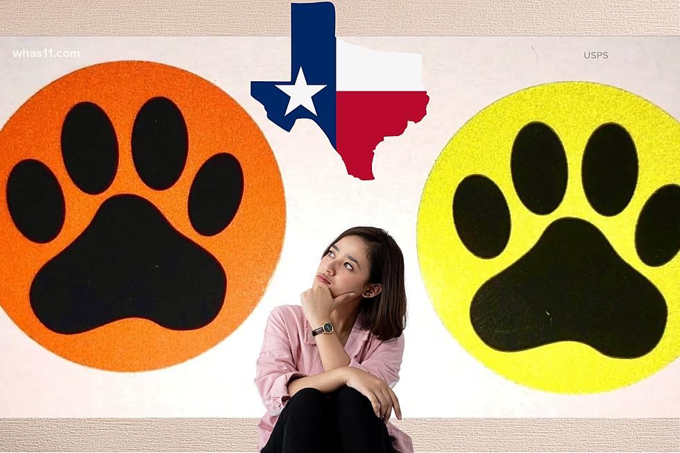 If You See A House In Texas With A Paw Print Sticker, Best Keep Moving