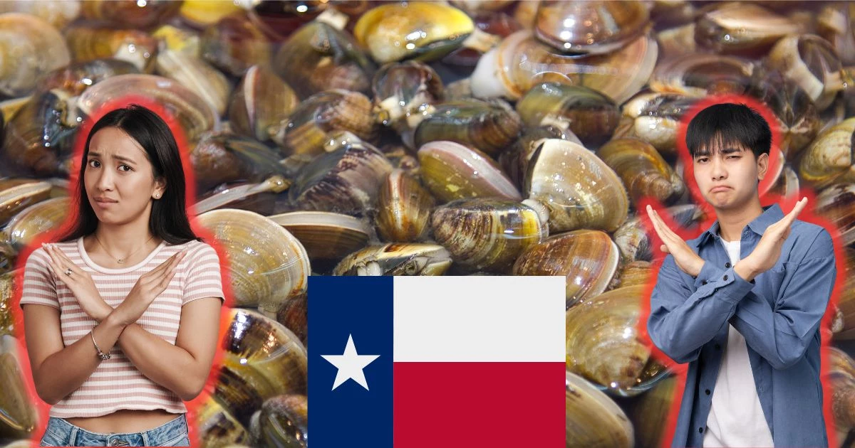 Remember TX, It's Up To You To Stop The Spread Of Zebra Mussels! - Vimarsana News