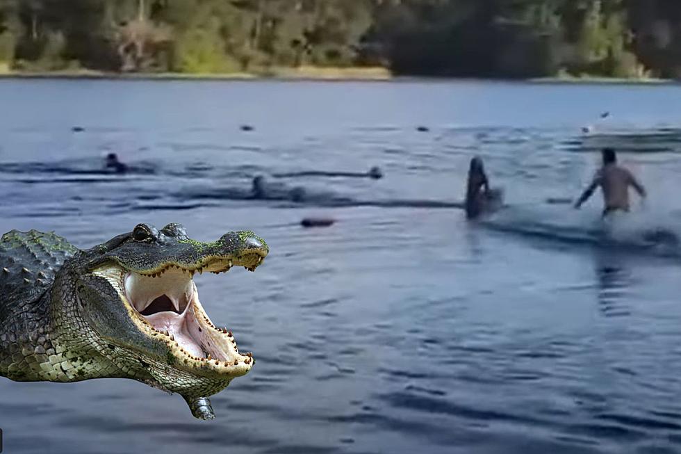 Alligator Video Shows Texas Girl Scouts Last Minute Escape
