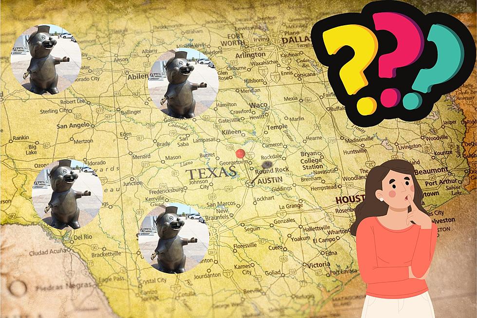 Beaver Fever: Where Should The Next Buc-ee&#8217;s Be In Texas?