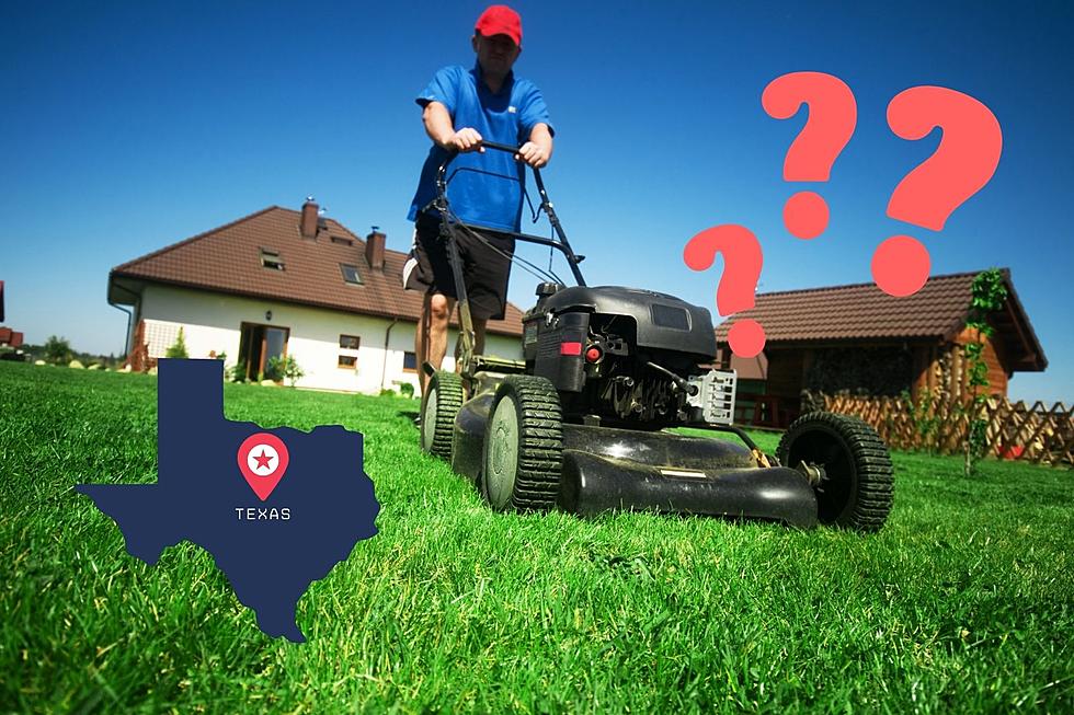 For The Best Texas Lawn, Learn Now When Mowing Ends
