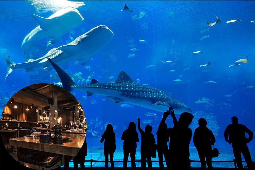 Texas, Have You Ever Wanted To Eat In An Aquarium? You Can!