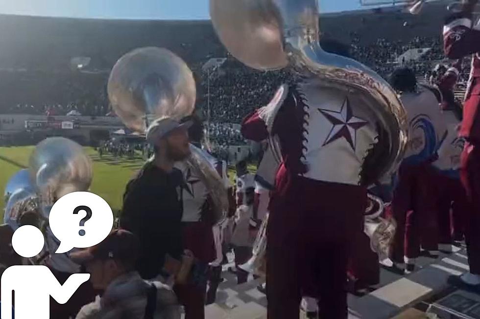 VIDEO: Texas Southern Tuba Player Punches Unknown Fan, But Why?