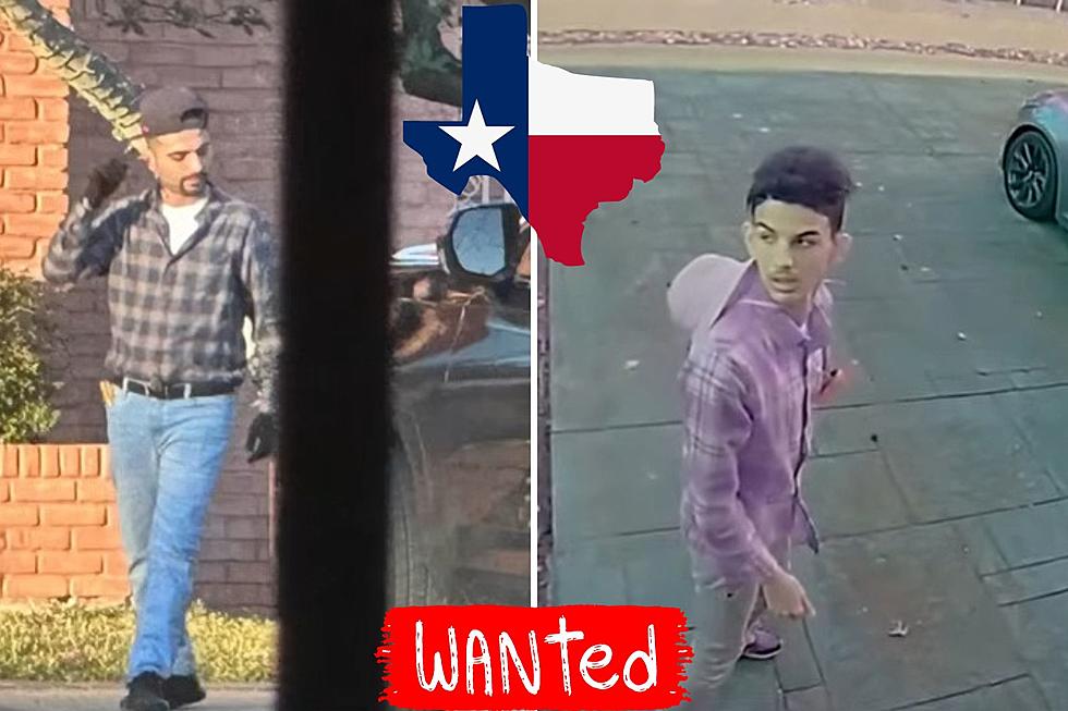 Texas, Have You Seen These Robbers Impersonating Tree Trimmers?