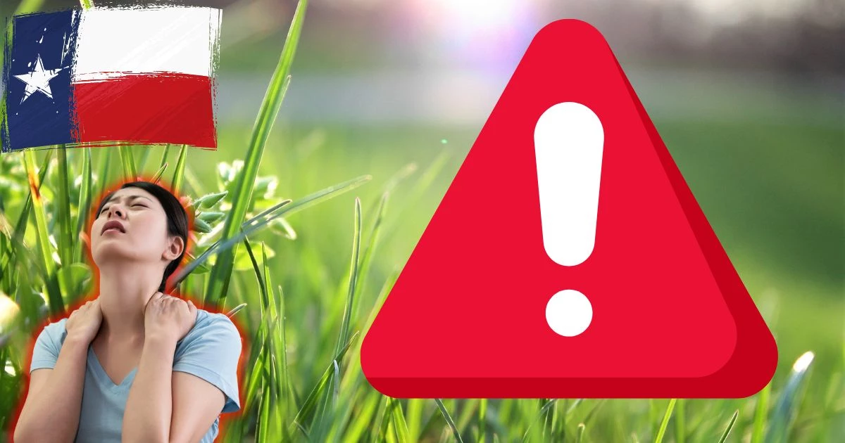BEWARE: This Creature Falls From Trees In Texas And Harms You - Vimarsana News