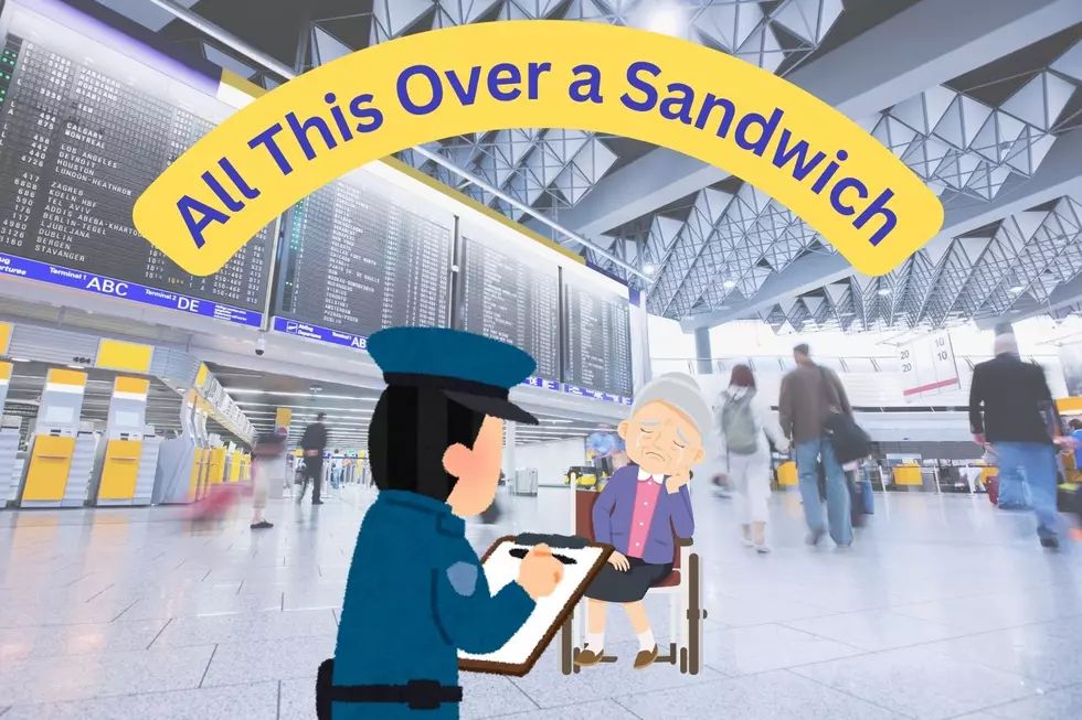 Feeble Old Lady Removed From Airplane Over Sandwich Sale