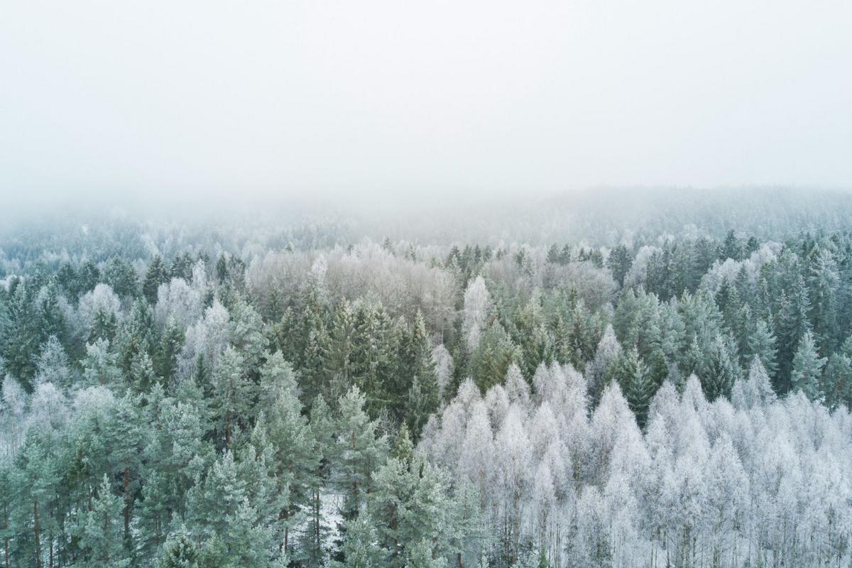 The Six Items That Will Help You Prepare For The Texas Winter