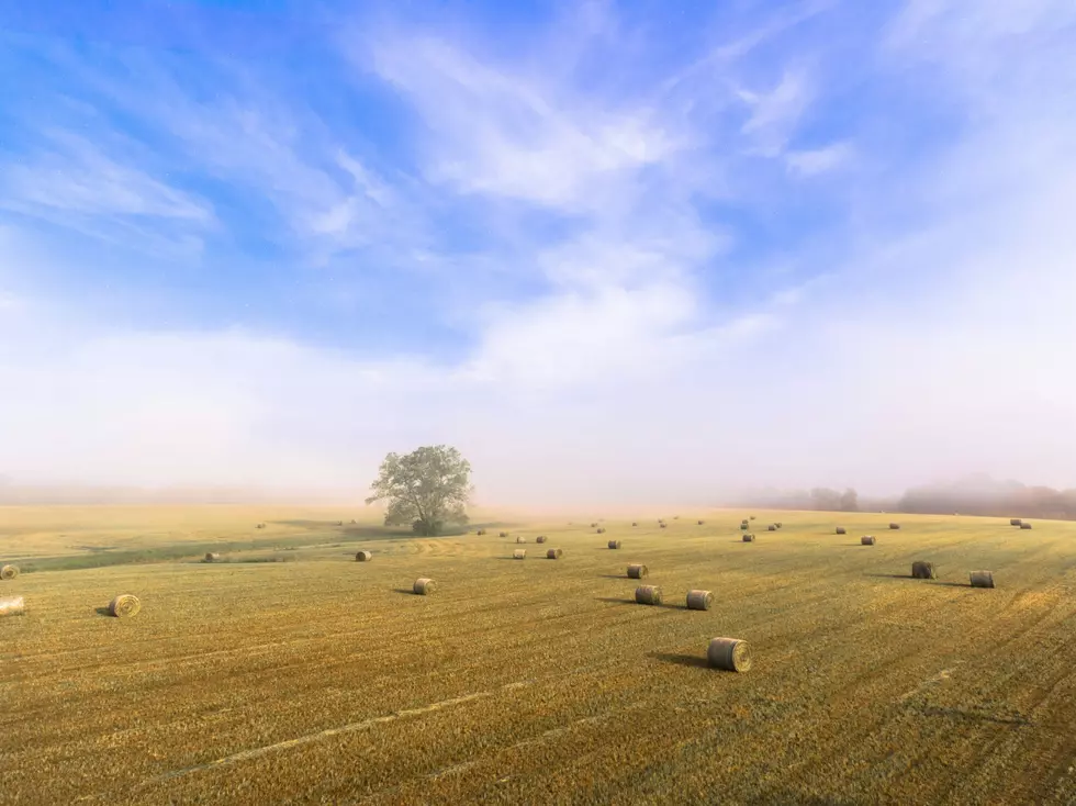 Herbicide Horror: Lawsuit Cites Long-Lasting Damage Affecting 2025 and 2026 Harvests