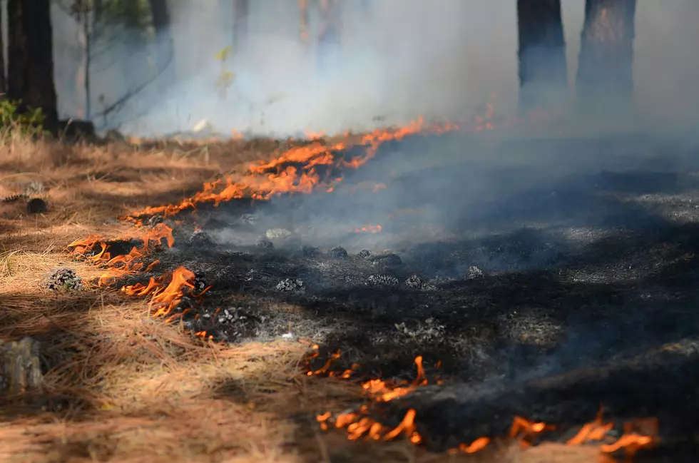 The Five Main Causes Of Grass Fires In Central Texas