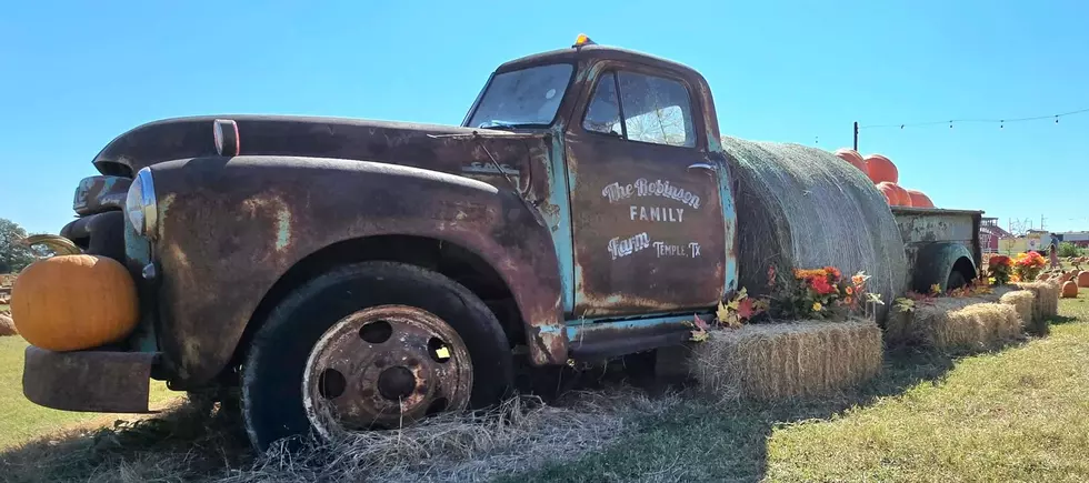 The Robinson Family Farm Fall Fest Offers Pumpkins, Games, and Goats