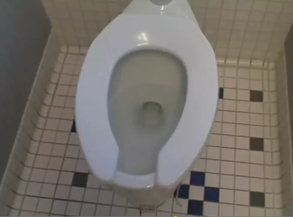 Toilet Facts – Toilet Flush – Toilet Paper – Psycho