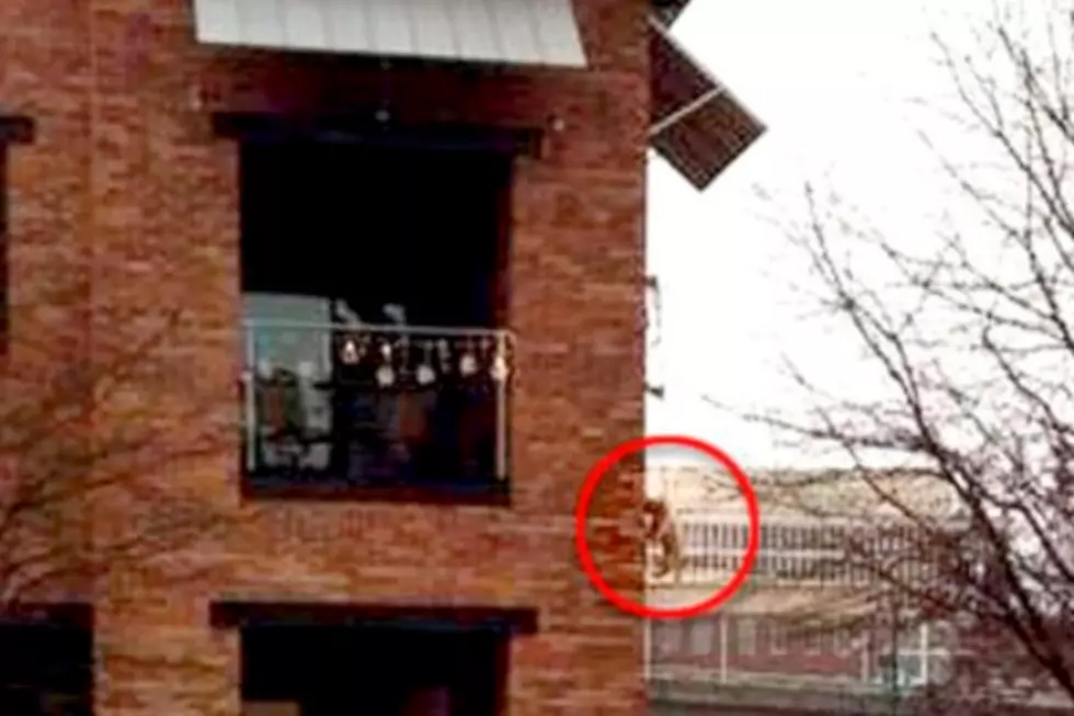 Lazy Man Dangles Dog Off a Balcony Instead of Taking it For a Walk