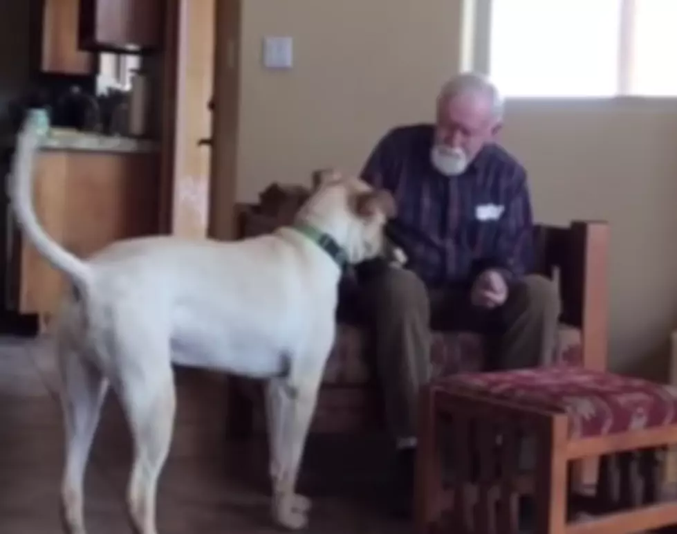 Man with Alzheimer&#8217;s Comes Alive With Family Dog