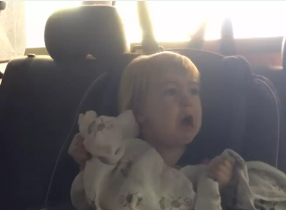 Two Year Old&#8217;s Reaction To a Car Wash Seems Far From Adorable