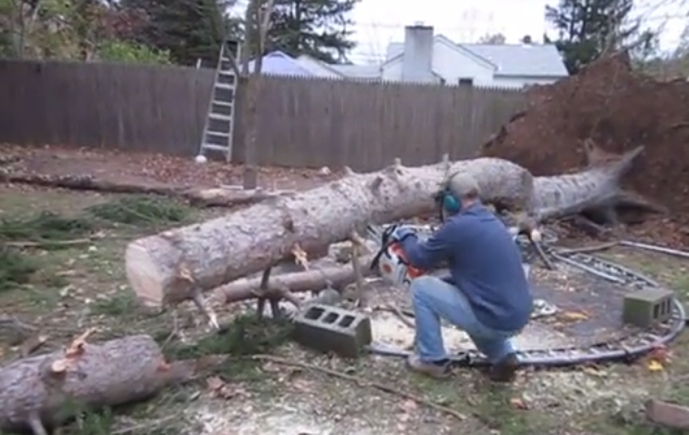 Zombie Tree Stands Back Up While Being Cut With a Chainsaw