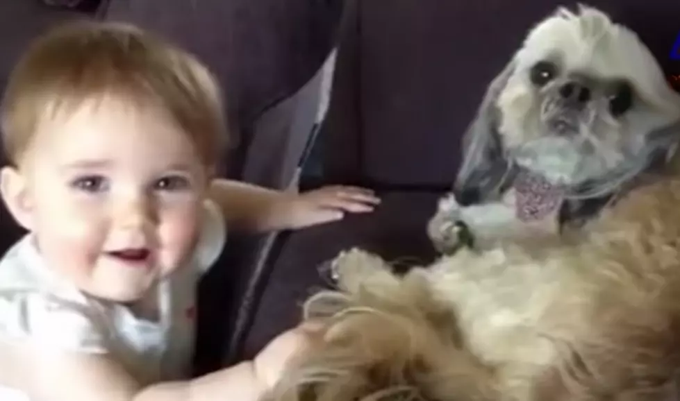 Smile – Funny Dogs & Babies
