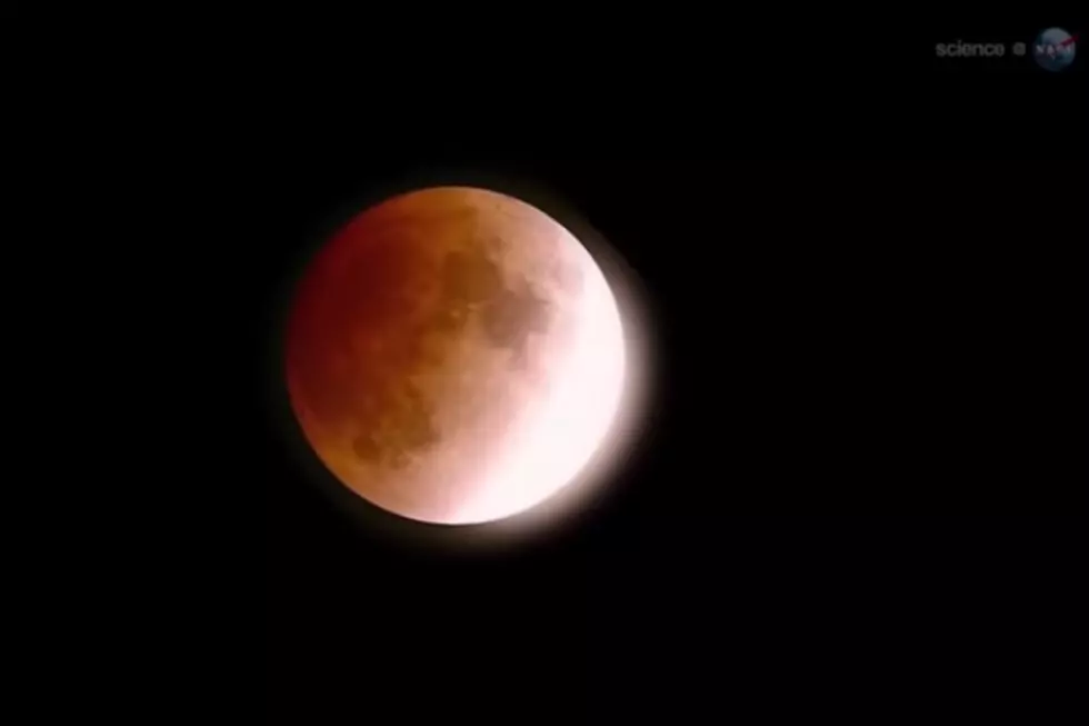 Check out the Blood Moon Wednesday Morning