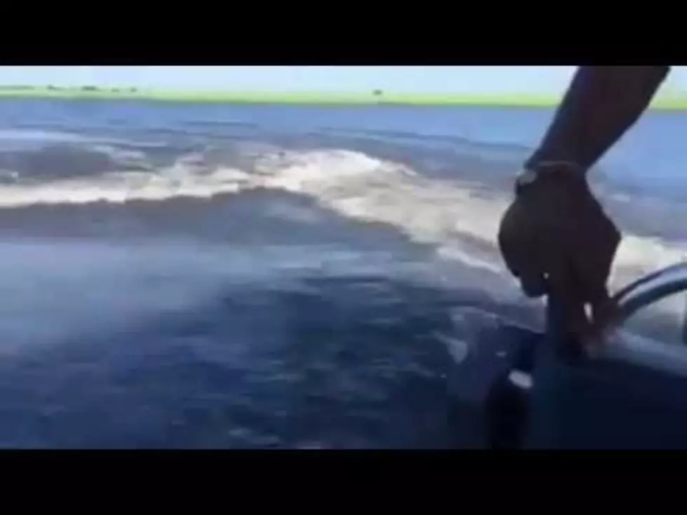 Angry Hippo Chases Boat Full of Tourists