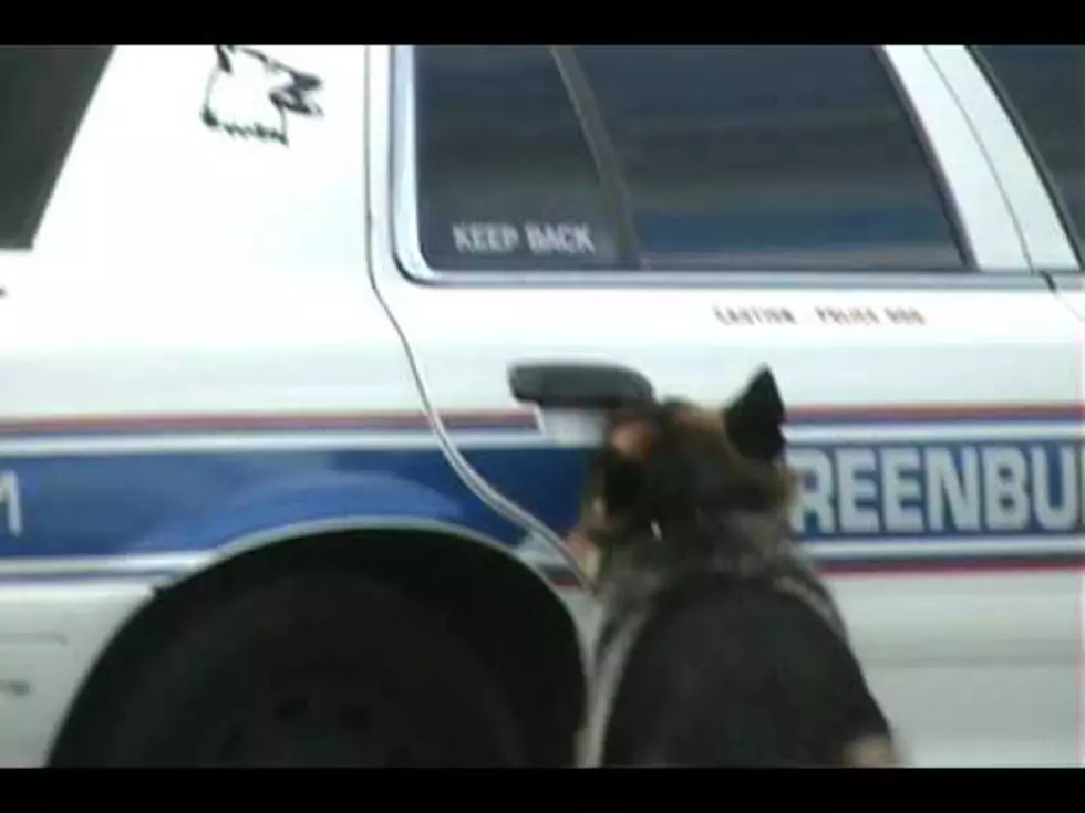 Police Dog Opens &#038; Closes Car Door All By Itself