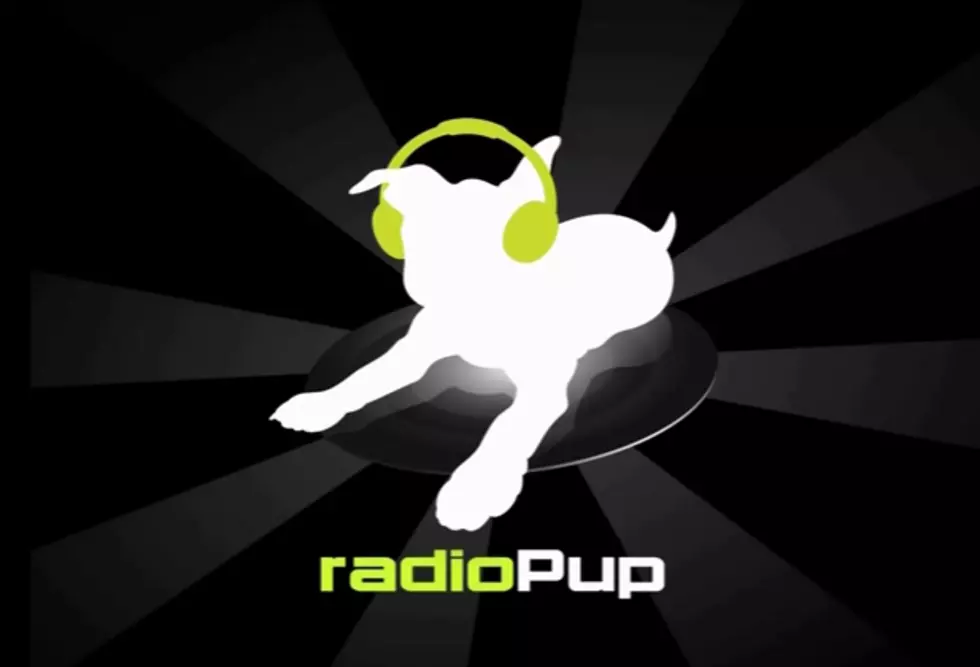 radioPup is App You Need to Stay in Touch