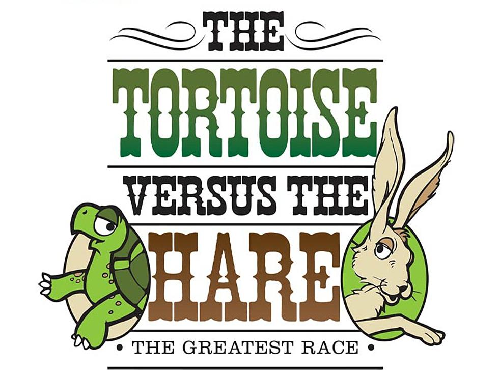 Open Auditions For The Tortoise Versus The Hair at Temple CAC