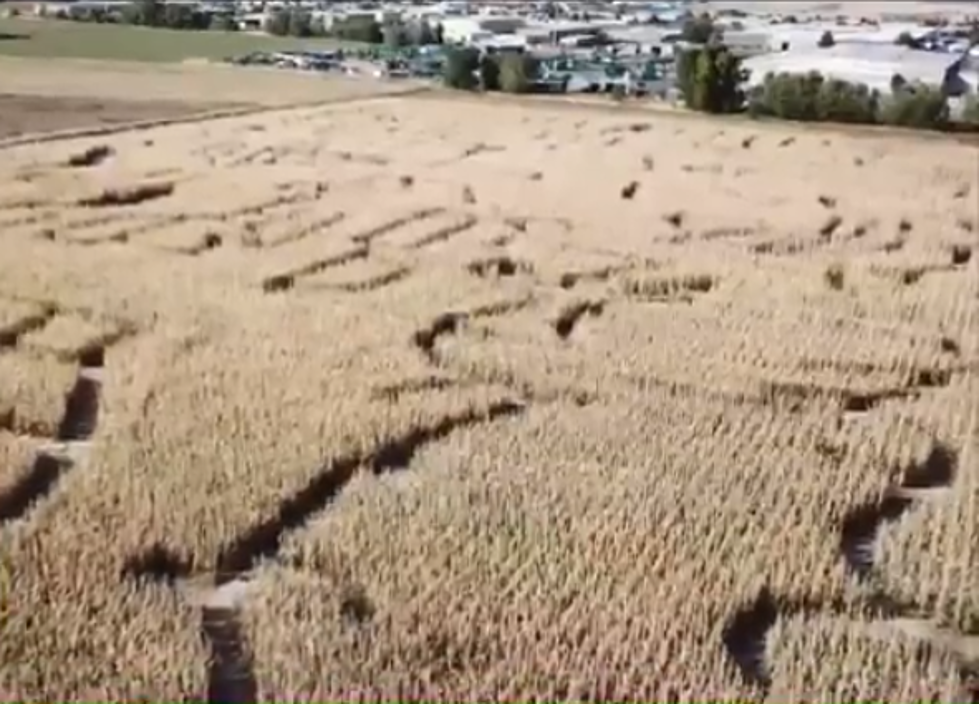 3-Year-Old Left Behind in Utah Corn Maze