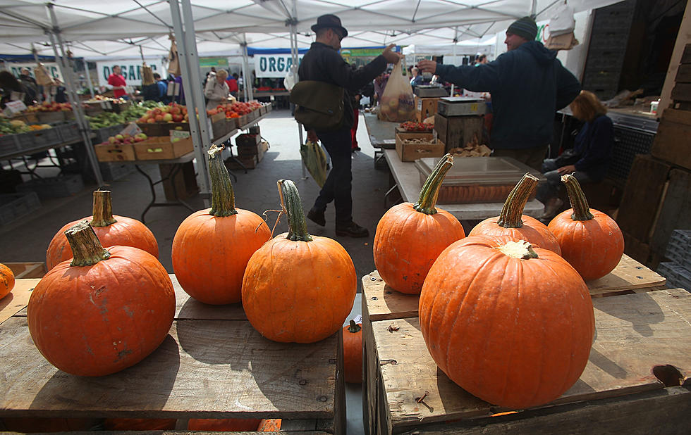 Farmers Market Season Ends with Fall Festival in Harker Heights