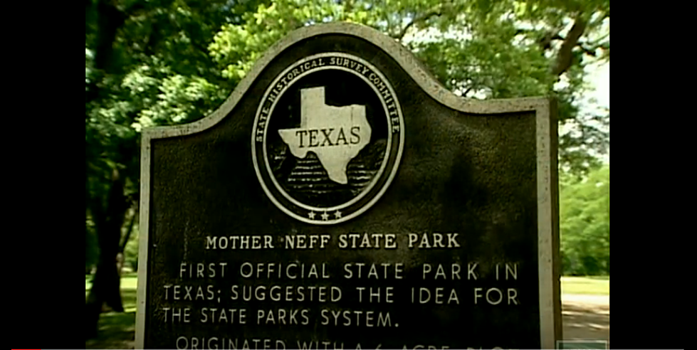 Mother Neff State Park Hopes for Record Turnout January 1st