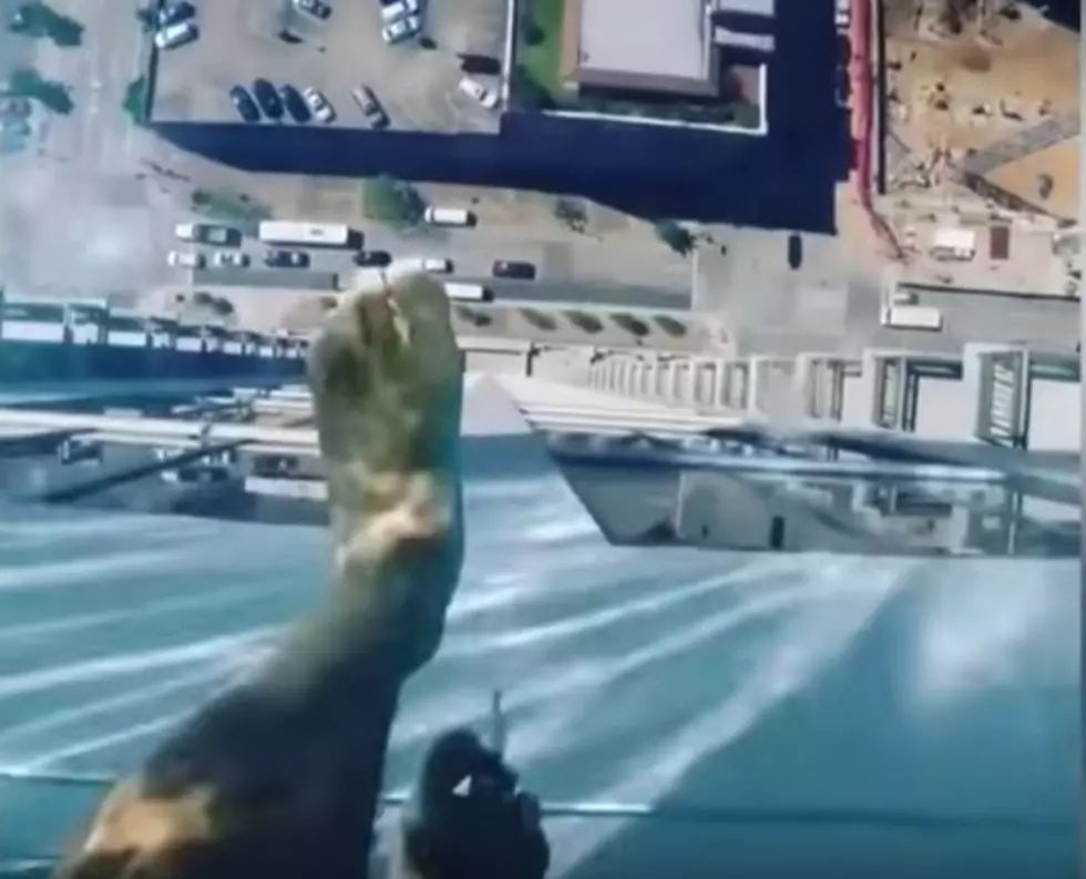 Market Square Tower Lets you Swim Over the Edge