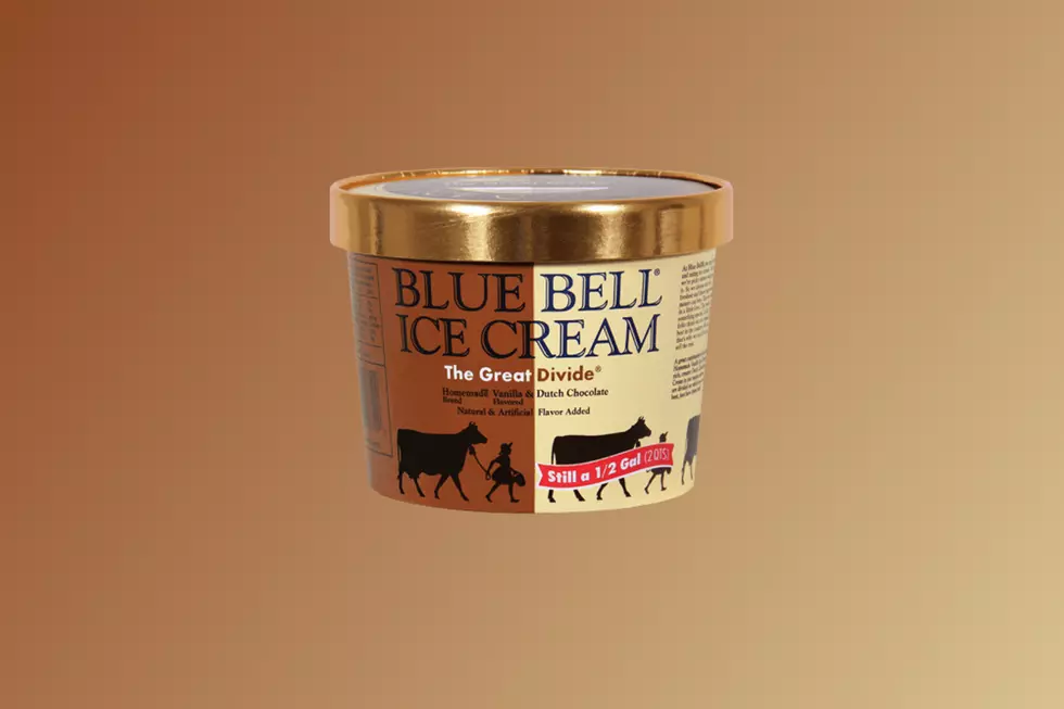 Children Request Blue Bell Change Name of Ice Cream