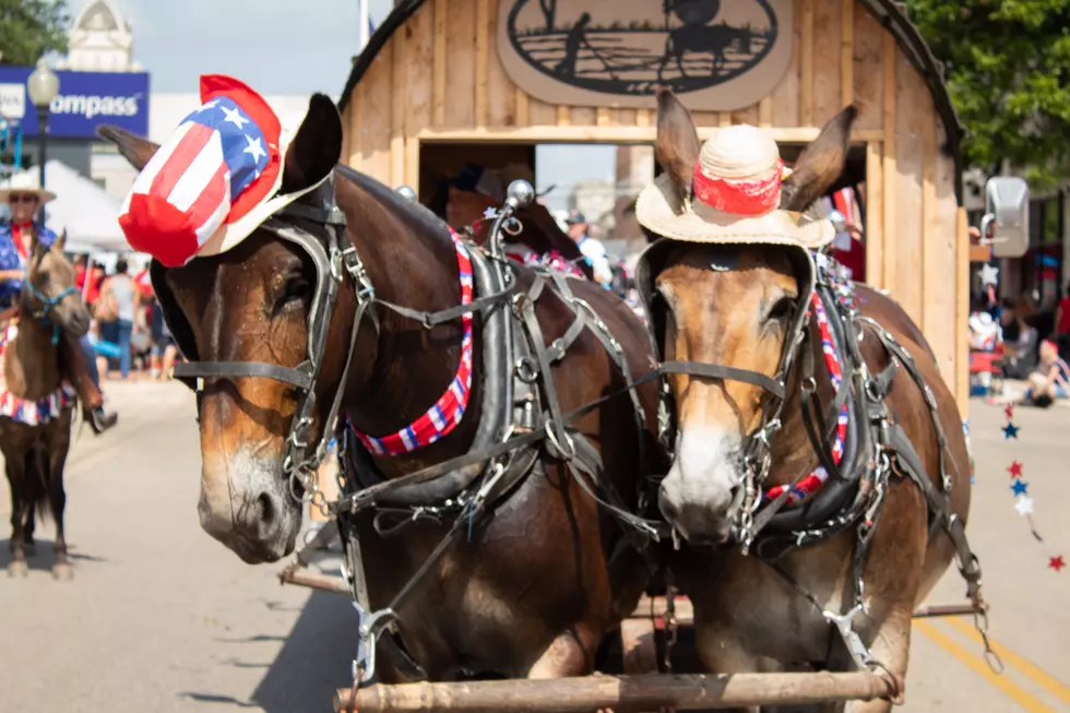 Check Out These Photos from the 99th Belton 4th of July Parade
