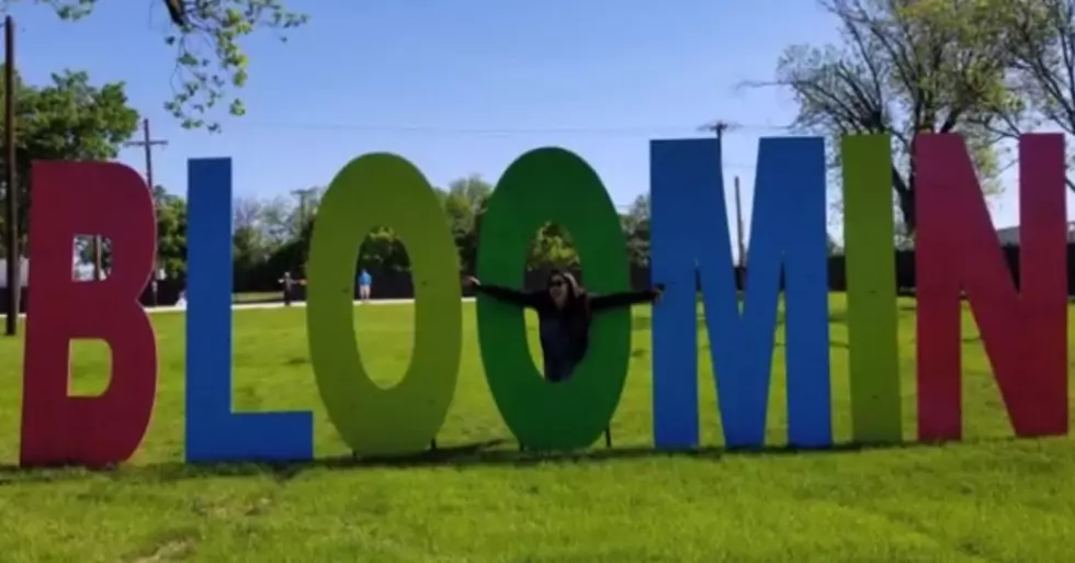 Bloomin Temple Festival Says Thank You With a Video