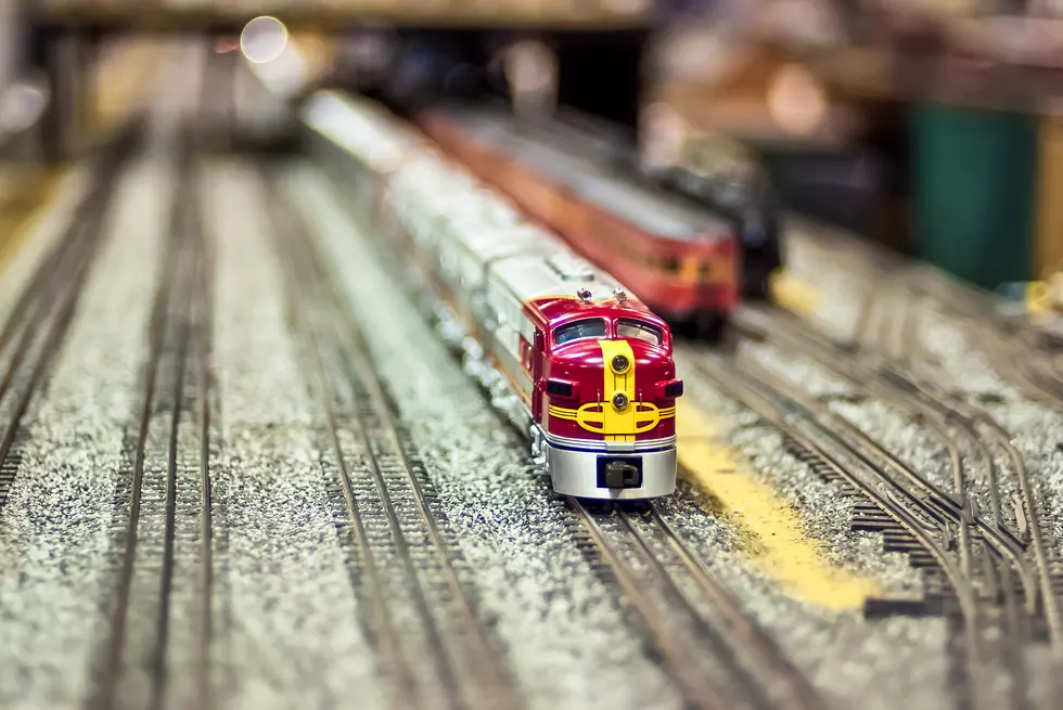 Be Our Guest at the 37th Annual Temple Model Train Show