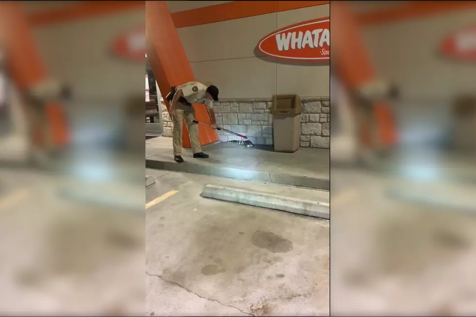 Gator Stops in for a Whataburger, Gets Arrested