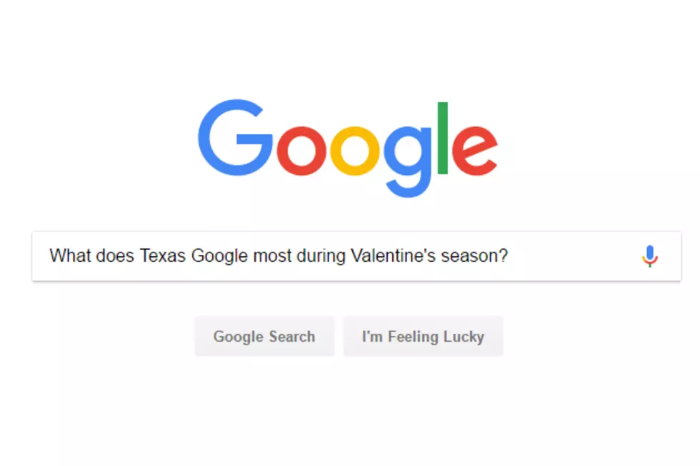 Texas' Top Googles