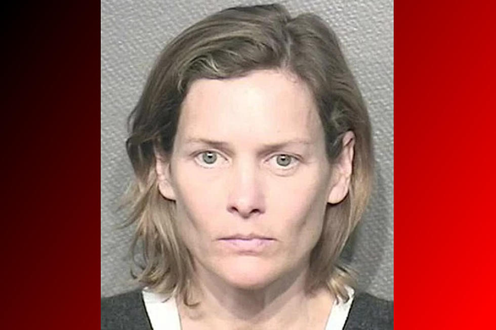 Texas Veterinarian Accused of Murder-for-Hire Plot Jumps to Her Death