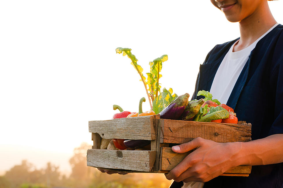 You’ll Find Great Fresh Food at Killeen’s Farmers Market Today